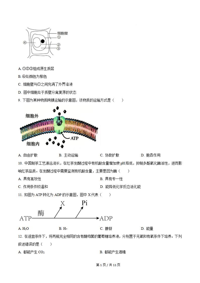 天津市2025年7月高中学业水平合格性考试生物真题试卷答案解析学考会考春考高考插图历年学考真题1