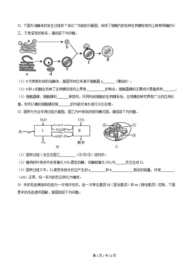 天津市2025年7月高中学业水平合格性考试生物真题试卷答案解析学考会考春考高考插图历年学考真题5