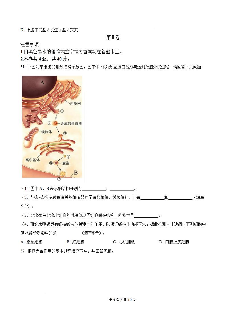 天津市2023年高中学业水平合格性考试生物真题试卷答案解析学考会考春考高考插图历年学考真题4