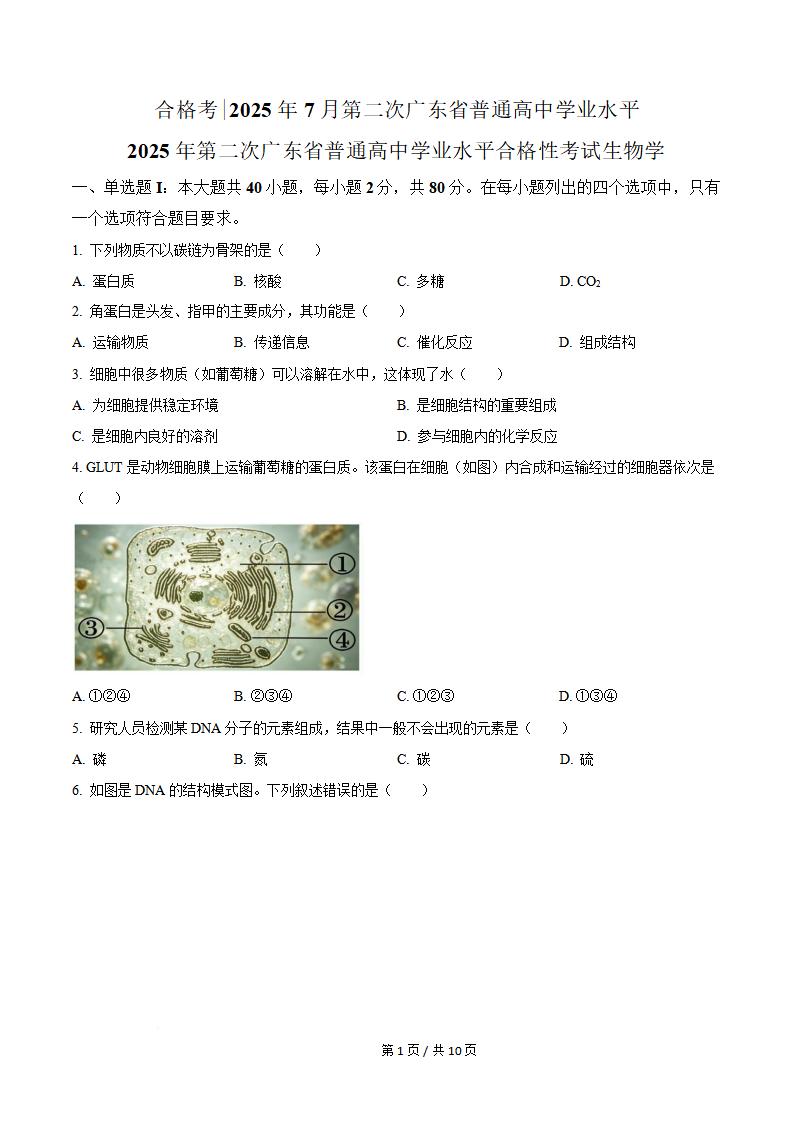 广东省2025年7月夏季高中学业水平合格性考试生物真题试卷答案解析学考会考春考高考-言心吖资料库
