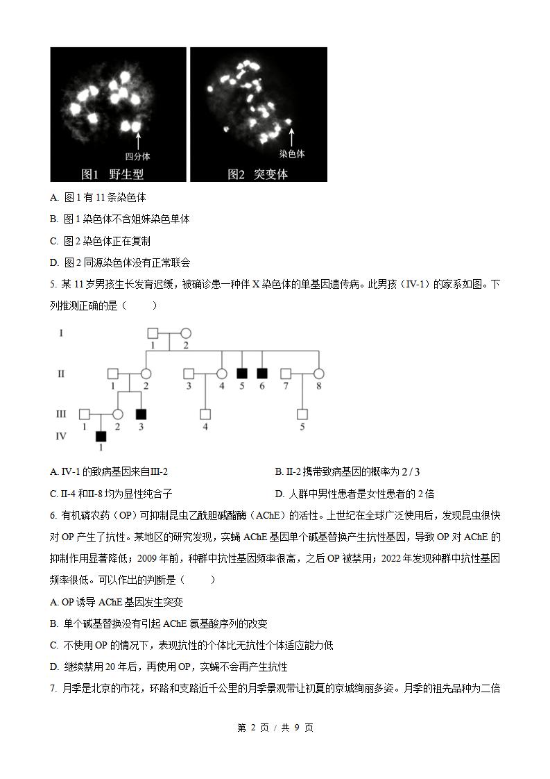 2026年高考生物北京卷真题试卷答案省科解析插图历年高考真题1