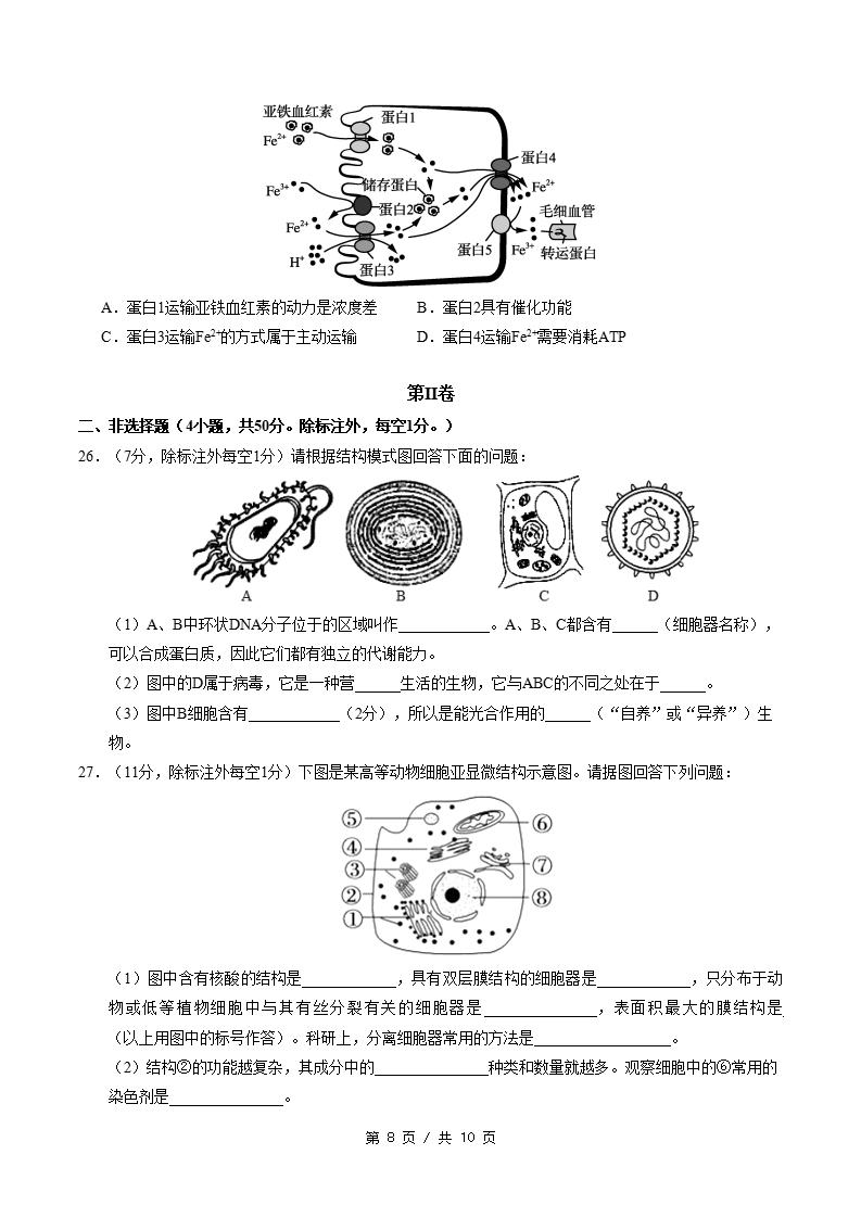 高中生物-高一上学期期中试卷答案解析人教版插图同步试卷专项5