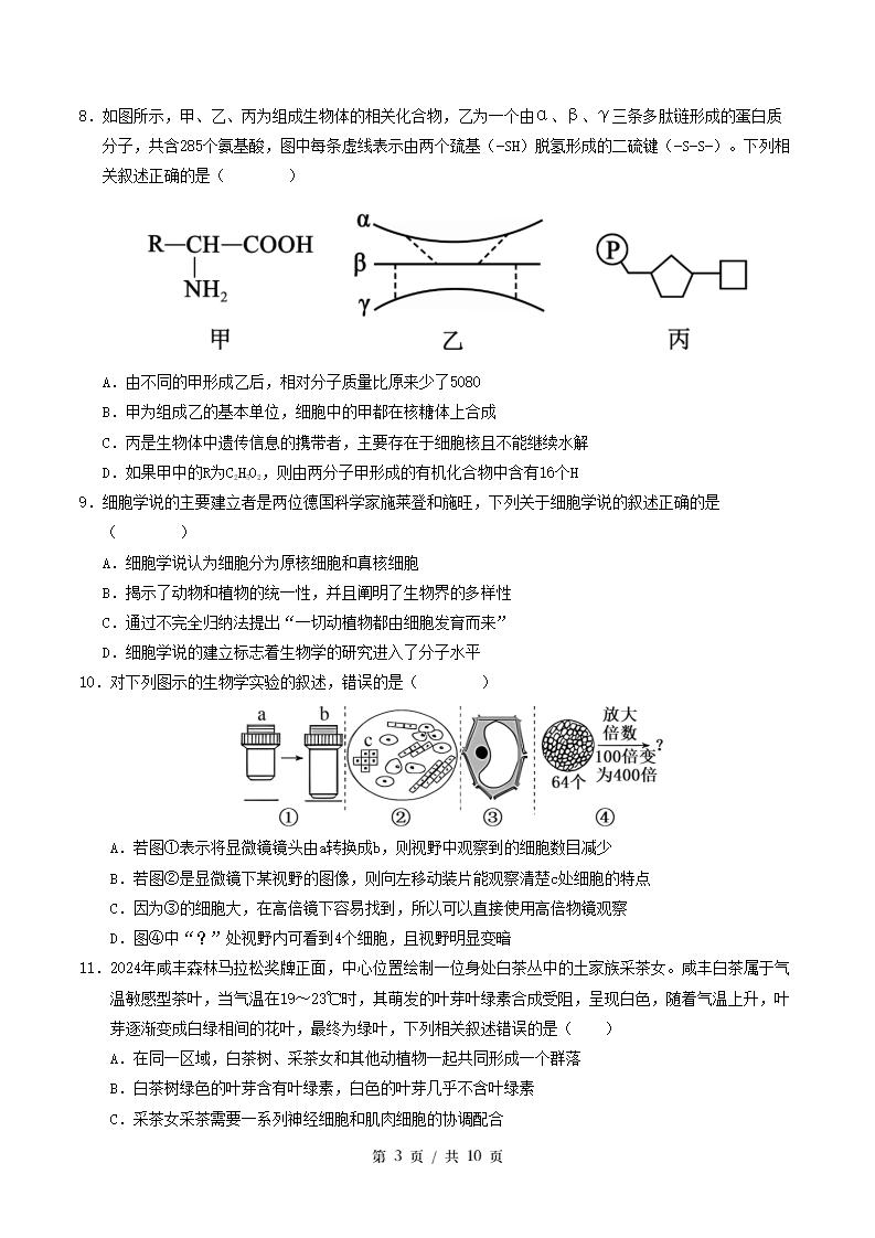 高中生物-高一上学期月考试卷第1次答案解析苏教版插图同步试卷专项2