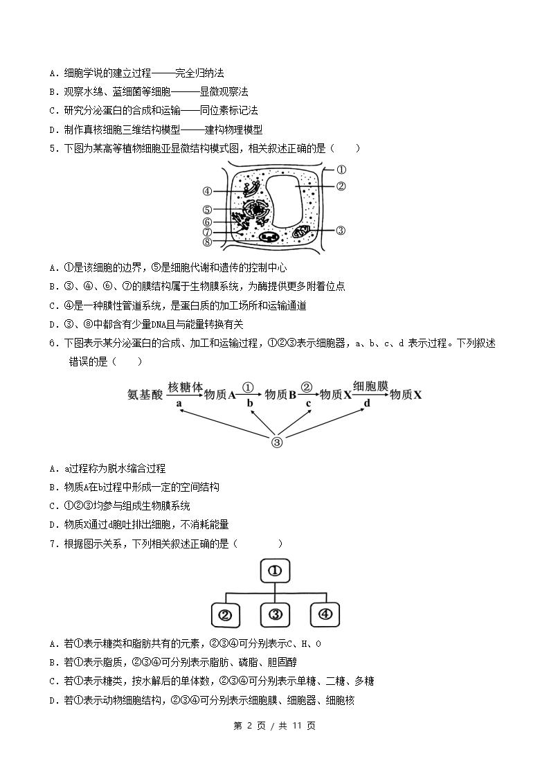 高中生物-高一上学期月考试卷第3次答案解析人教版插图同步试卷专项1