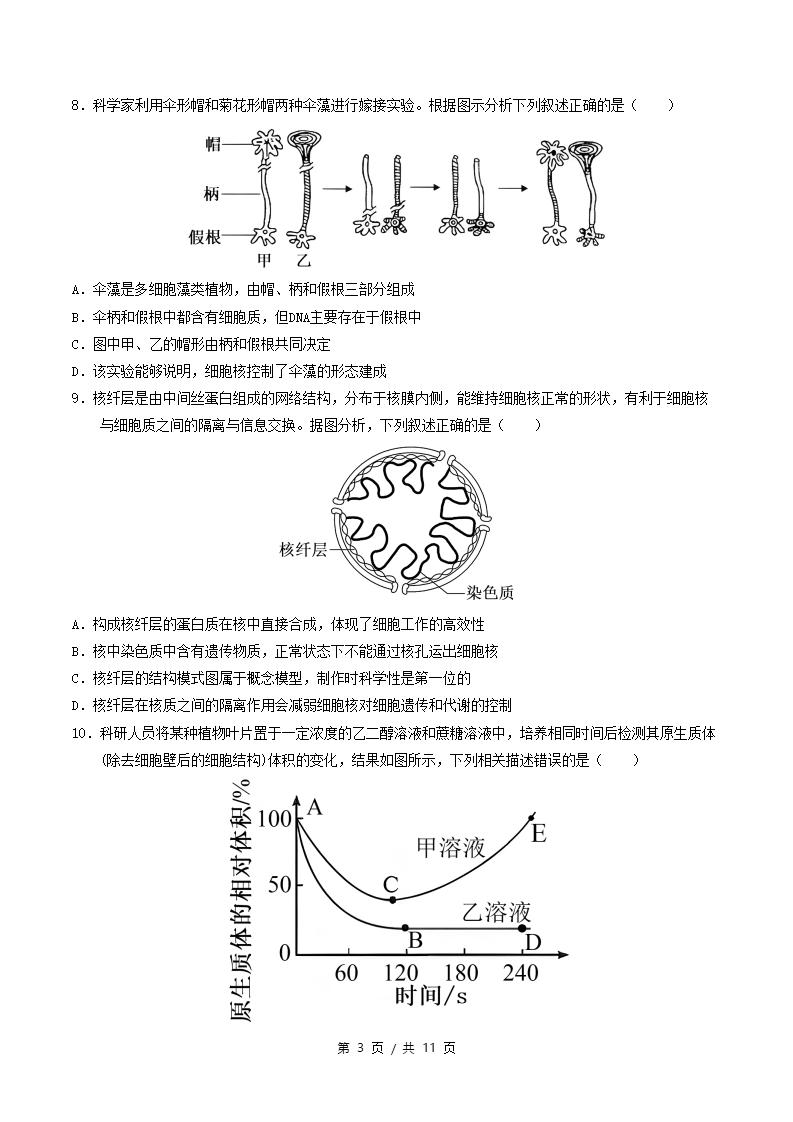 高中生物-高一上学期月考试卷第3次答案解析人教版插图同步试卷专项2