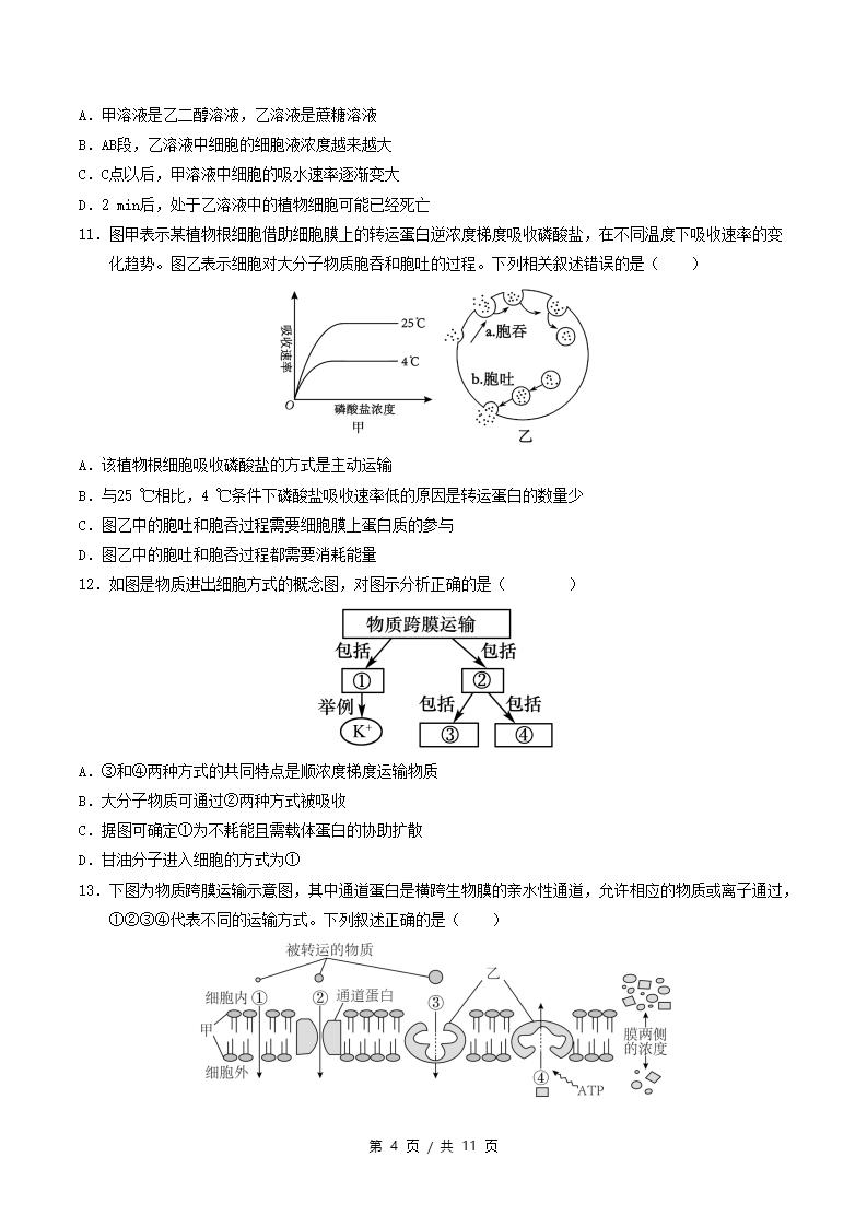 高中生物-高一上学期月考试卷第3次答案解析人教版插图同步试卷专项3