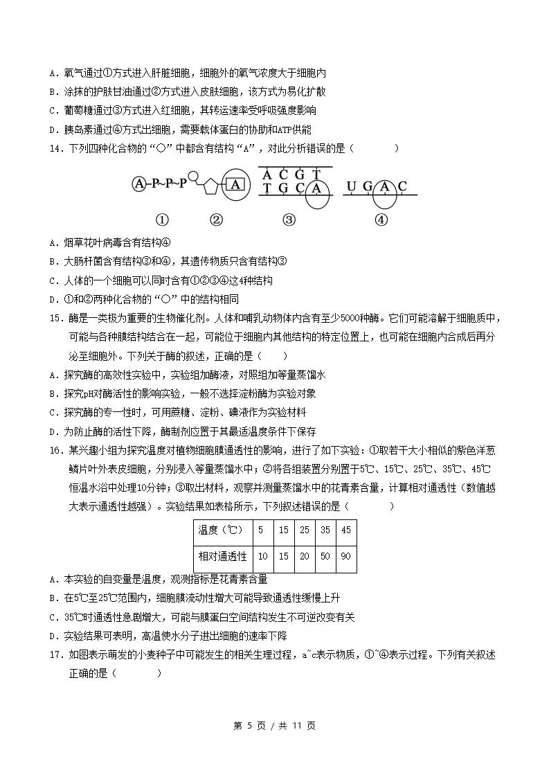 高中生物-高一上学期月考试卷第3次答案解析人教版插图同步试卷专项4