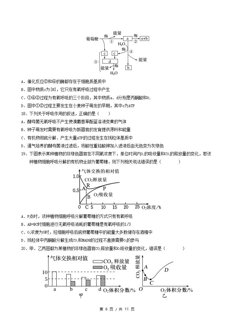高中生物-高一上学期月考试卷第3次答案解析人教版插图同步试卷专项5