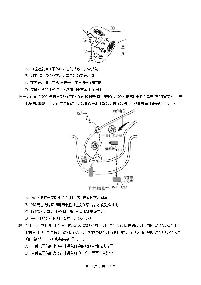 高中生物-高二上学期月考试卷第1次答案解析人教版插图同步试卷专项4