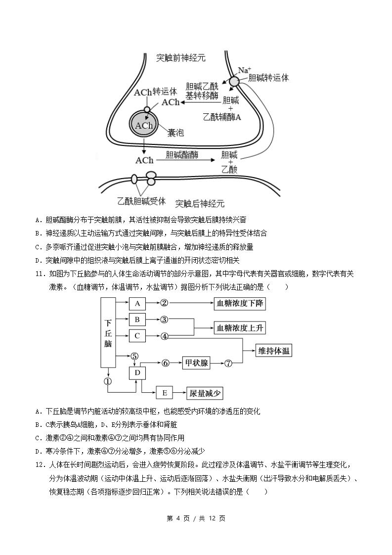 高中生物-高二上学期月考试卷第3次答案解析人教版插图同步试卷专项2