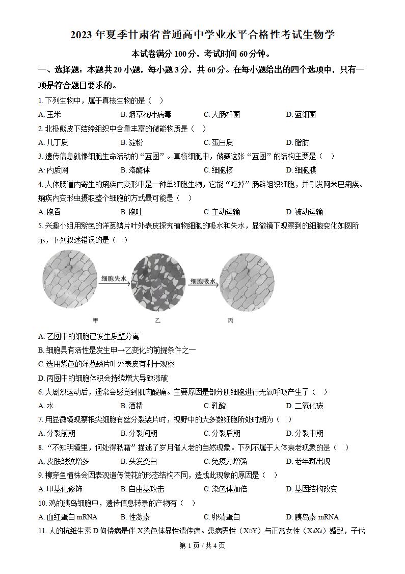 甘肃省2023年高中学业水平合格性考试生物真题试卷答案解析学考会考春考高考