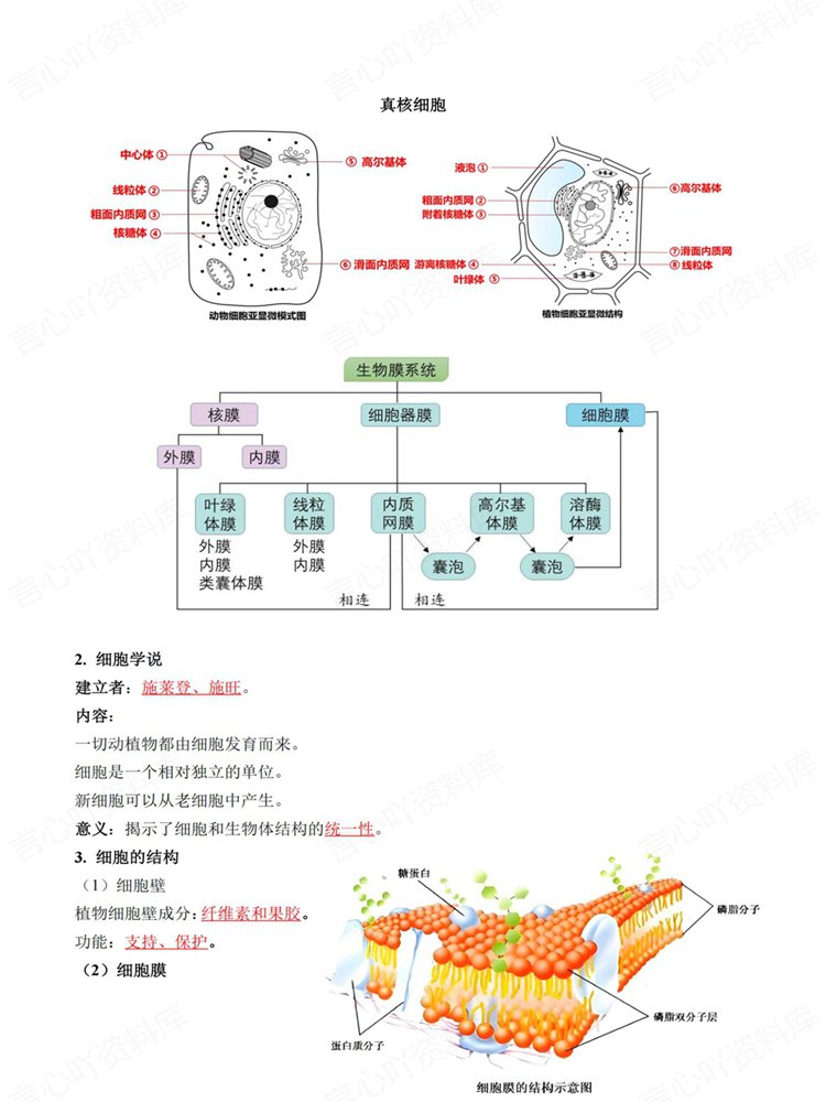 高中生物-学考会考合格考常考常见内容梳理高频考点插图高中生物5