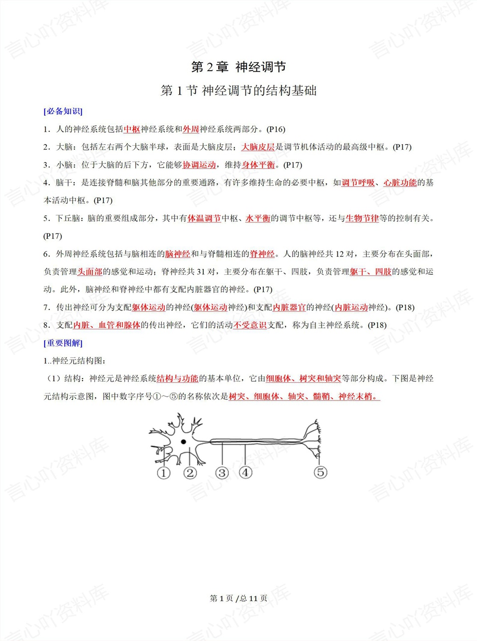 高中生物 | 高二上期中考点梳理知识清单人教版插图高中考点专项2